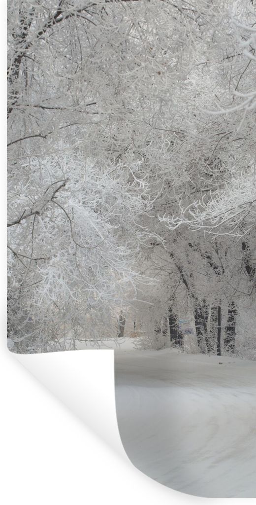 MuchoWow Wandtattoo Wandsticker Wandaufkleber Bäume - Schnee - Winter 60x120 cm Selbstklebend und Repositionierbar - Selbstklebend - Fototapeten