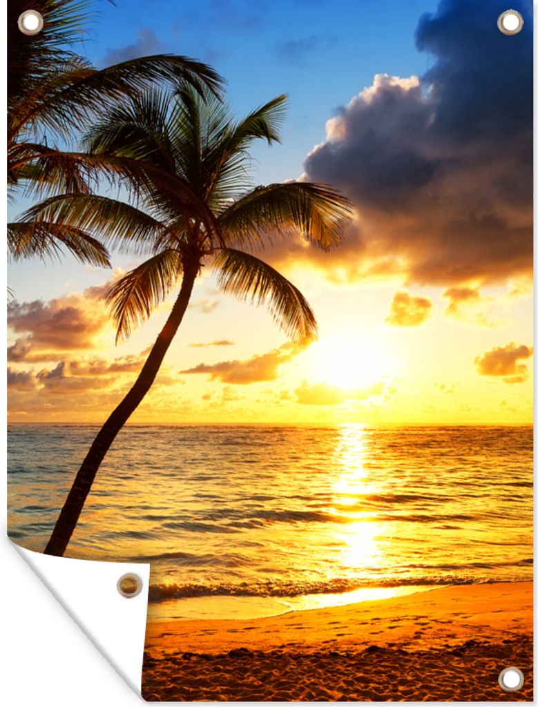 MuchoWow 60x80 cm Outdoor-Poster Gartendeko Sichtschutz Garten Poster für den Garten Strand - Horizont - Sonnenuntergang - Palme - Meer
