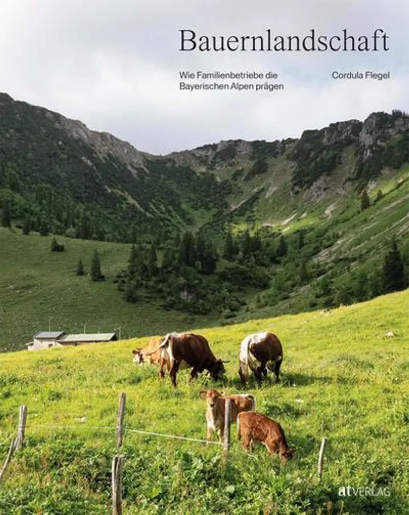 Tableau de Campagne Bauernlandschaft pour Salon Ambiance Cosy et Zen