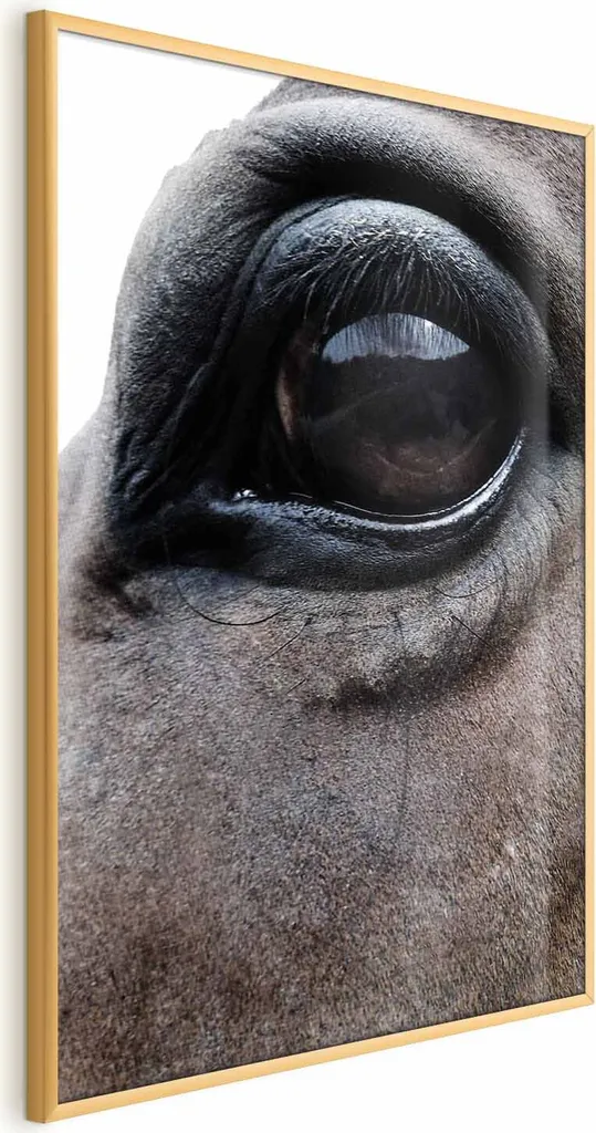 Poster Occhi onesti 60x90 cm con cornice dorata senza margine