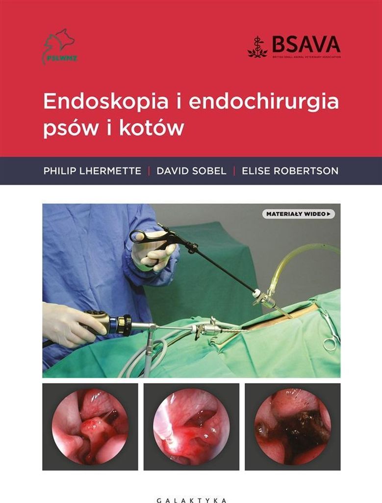 Endoskopia i endochirurgia psów i kotów