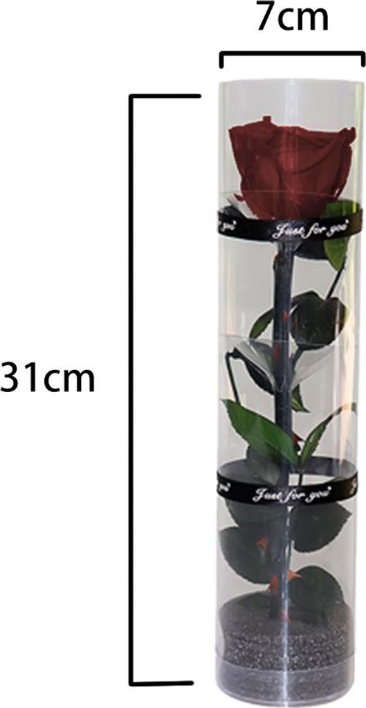 Eine echte konservierte Rose, eine ewig haltbare Rose, eine Produktbild 
