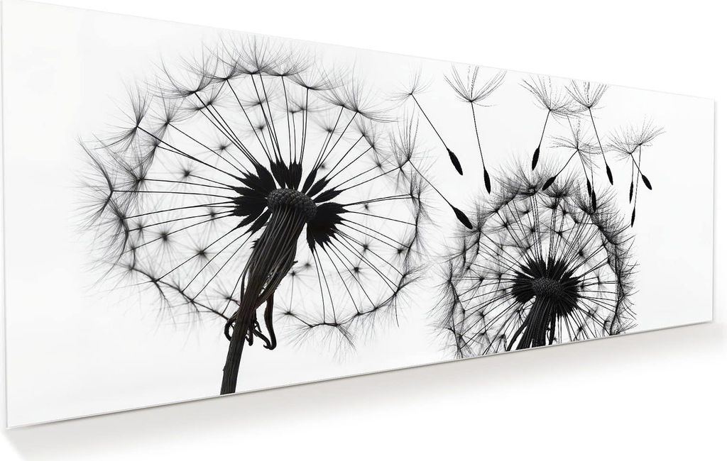Glasbild 150x60cm in XXL für Wohnzimmer, Schlafzimmer Motiv Pusteblumen
