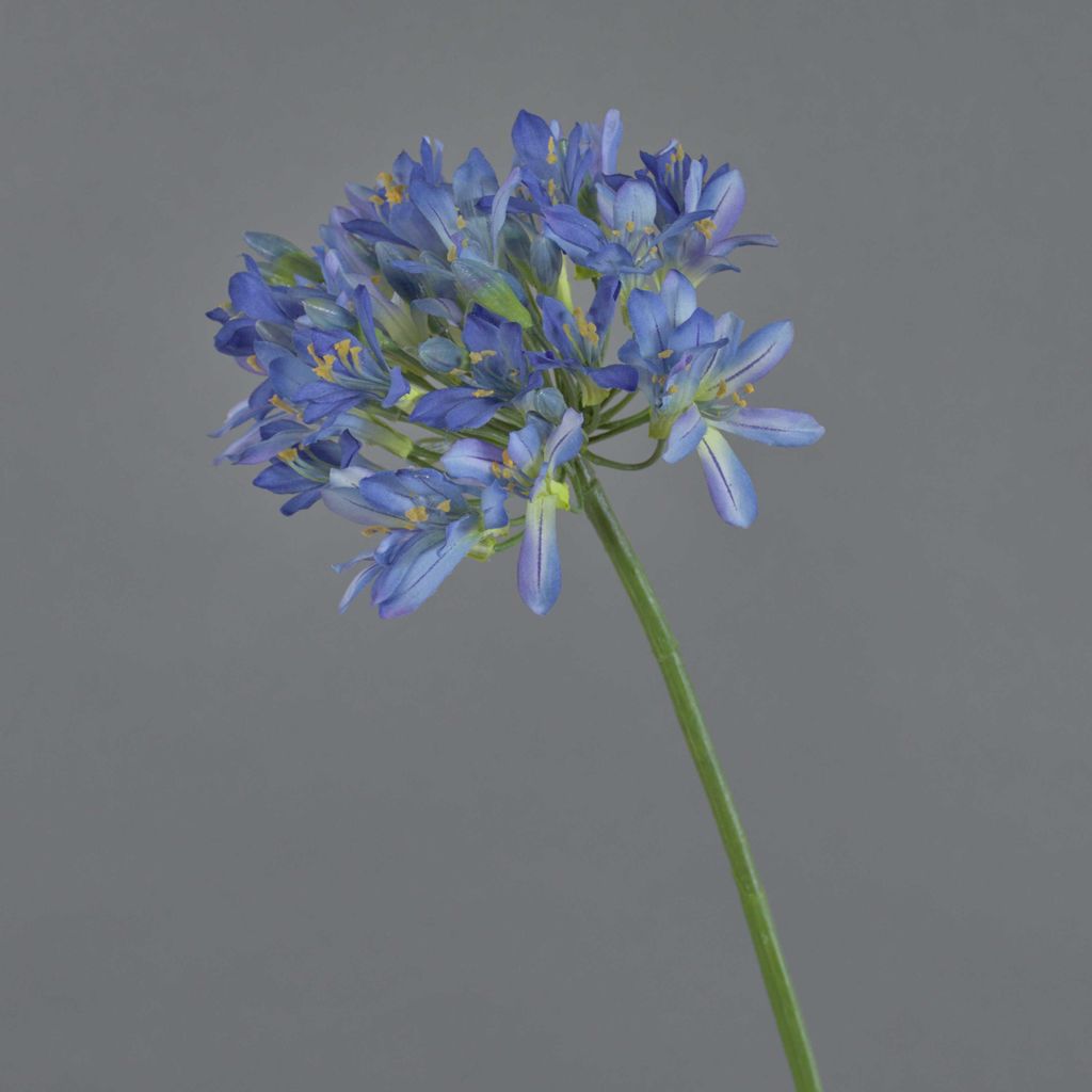 artplants.de Künstliche Blume Agapanthus ORNIL, blau, 90cm - Kunst Liebesblume