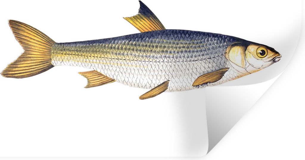 MuchoWow - Aufkleber