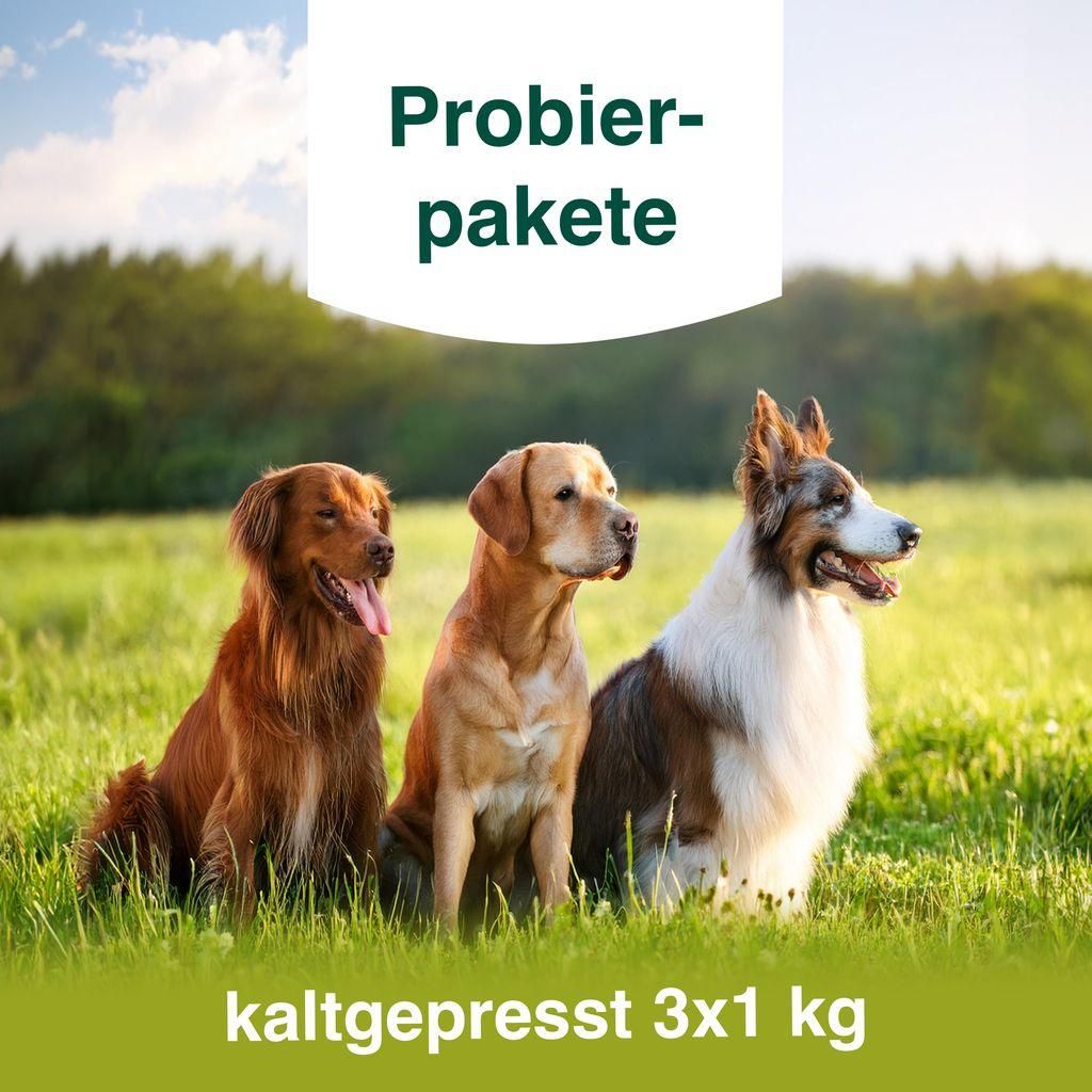Puro Hundefutter Probierpaket No. 4 - kaltgepresst - extra Fleisch - 3 x 1 kg