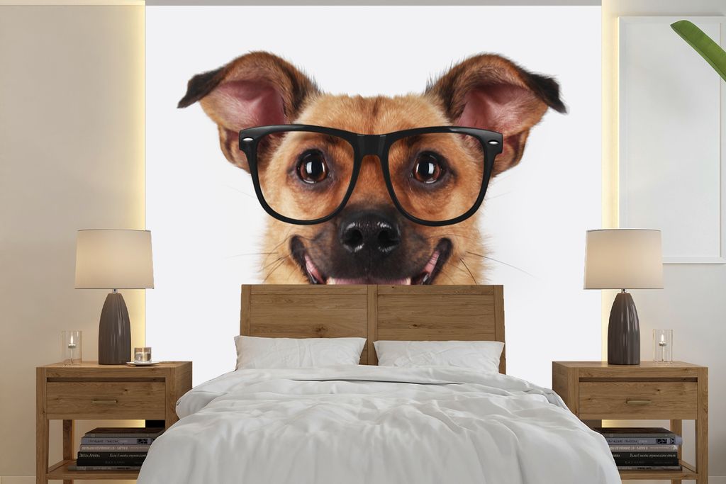MuchoWow Fototapete für Wohnzimmer oder Schlafzimmer Wandtapete Vinyl Motivtapete Hund - Bluse - Brille - Hipster - 240x240 cm - Schlafzimmer-Ta...
