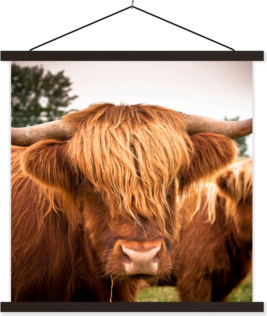MuchoWow Textilposter Schottische Hochlandrind - Braun - Gras 120x120 cm mit schwarzem Rahmen - Aufhängungsset
