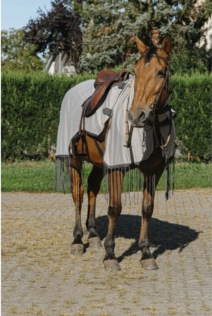 Coperta Antimosche Ekkia Riding World Grigio 165cm - Protezione Cavallo