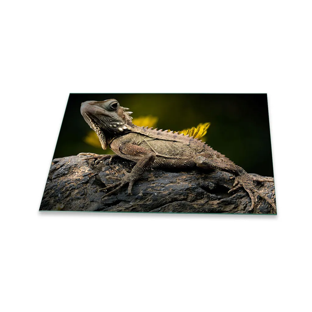 Piastra Copri Piano Cottura Vetro 80x52 Grigio Animali | Protezione Top