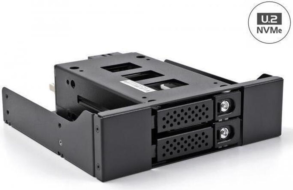 DELOCK Slim Bay Wechselrahmen 2 x2.5 U.2 NVMe SSD 5.25"
