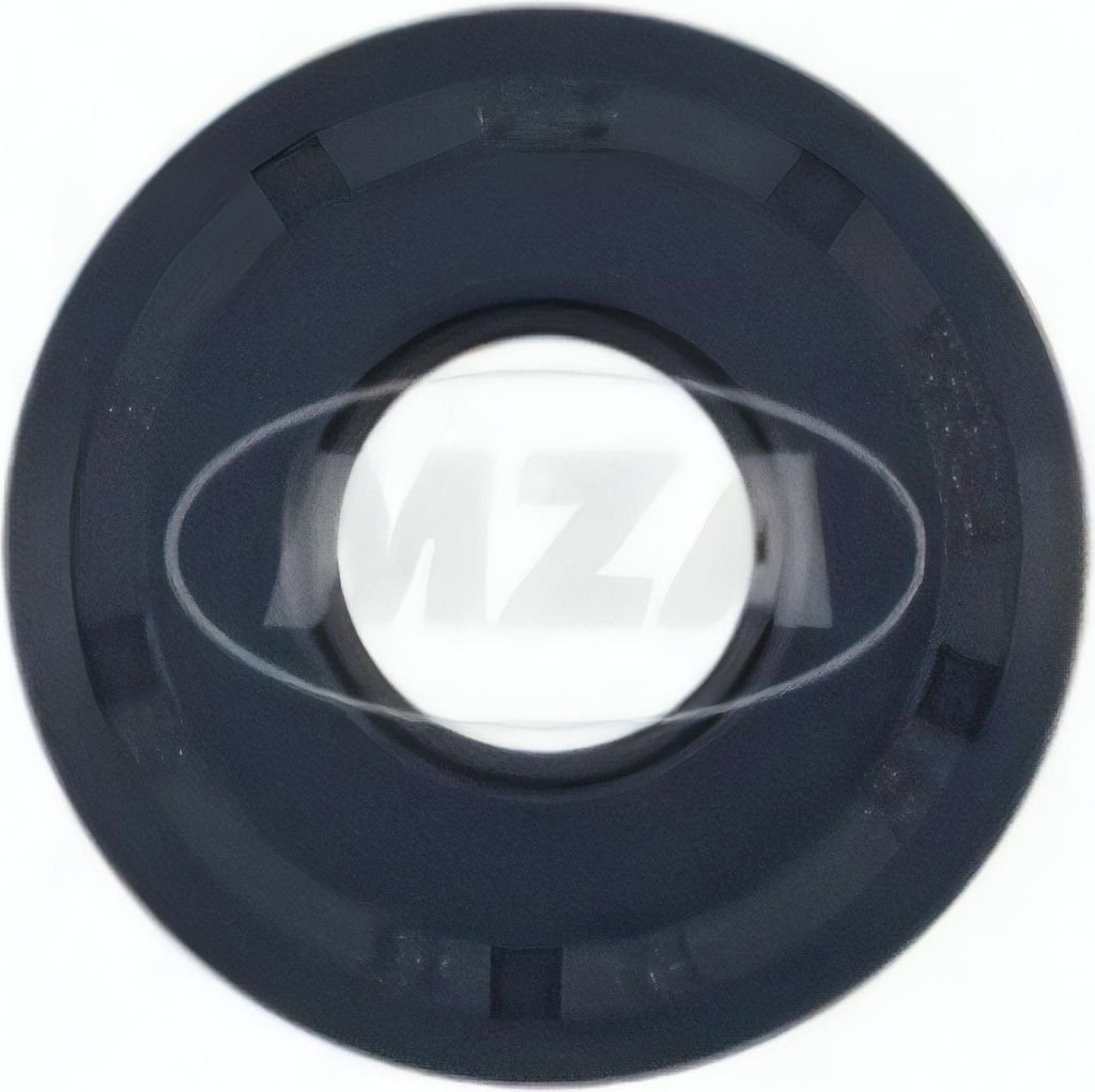 Wellendichtring LYO 25x62x08