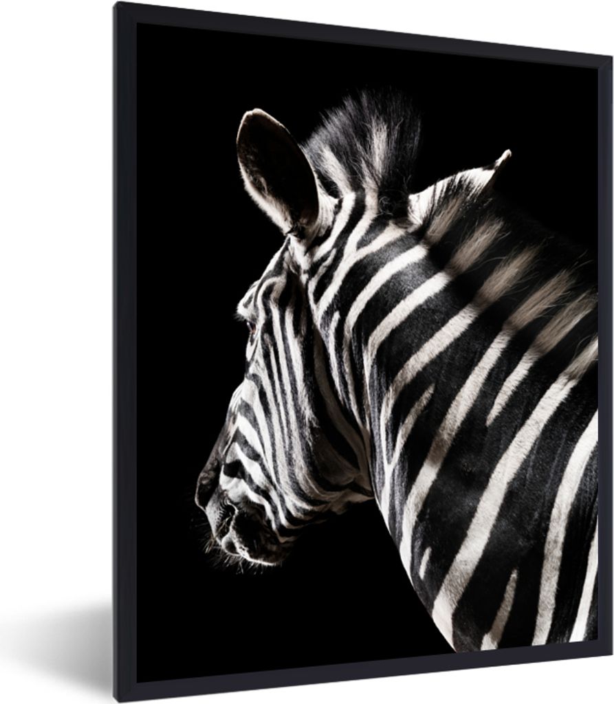 MuchoWow MuchoWow Gerahmtes Poster Zebra - Tier - Schwarz - Porträt 60x80 cm - Poster mit zchwarzem Bilderrahmen - Premium - Wanddeko Wohnzimmer
