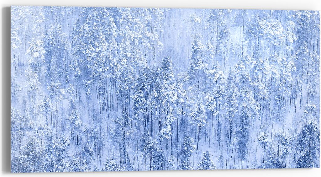 DEQORI Glasbild Echtglas 60x30 cm 'Winterwald in Weiß' Wandbild Bild modern Deko