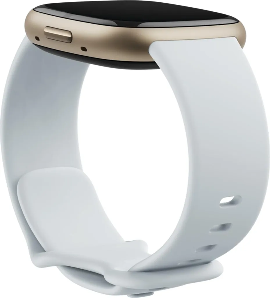 Fitbit Sense 2 FB521GLBM avec Capteur de Stress et ECG Soft Gold Blue - 2