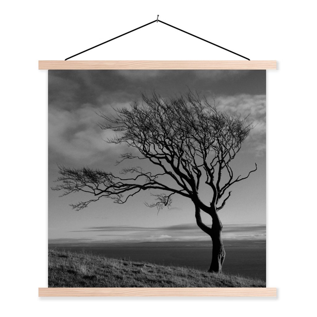 MuchoWow® Textilposter Winterfoto Buche schwarz und weiß Produktbild 