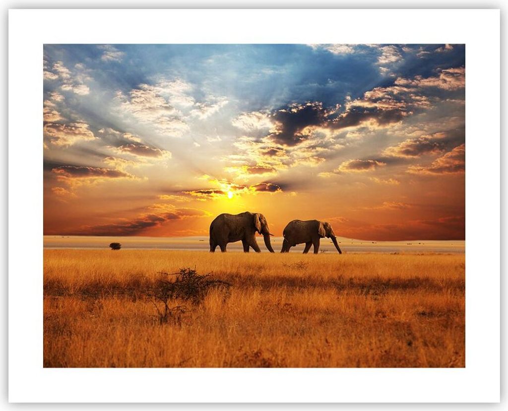 Poster - Poster ohne Rahmen - Elefanten Safari Dschungel Busch - 50x40 cm - Wand Bild - Wanddeko - Wandbilder - Kunstposter - Wandposter - Bilder -...