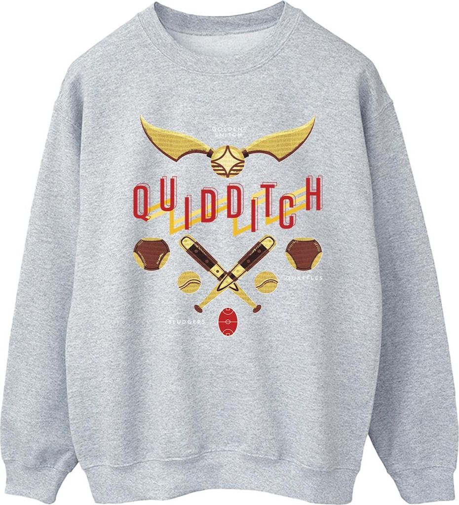 Harry Potter - "Quidditch Golden Snitch" Sweatshirt für Herren BI28977 (XL) (Grau)
