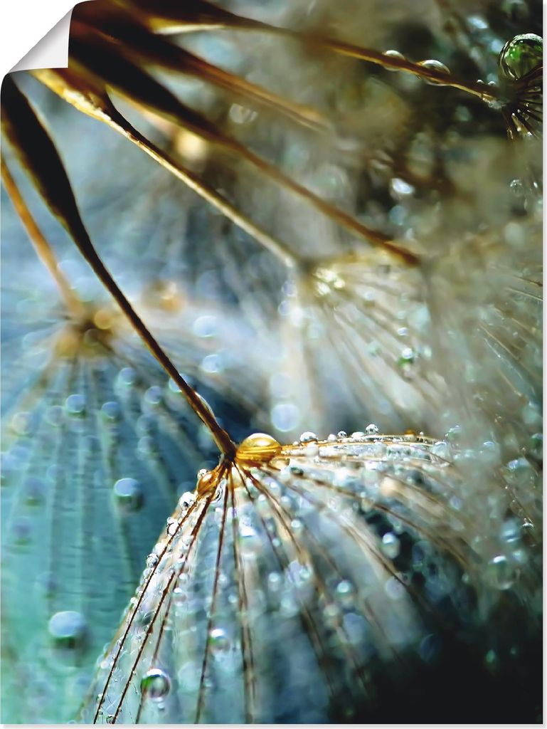 ARTland Poster Pusteblume Mystische Schönheit Größe: 45x60 cm