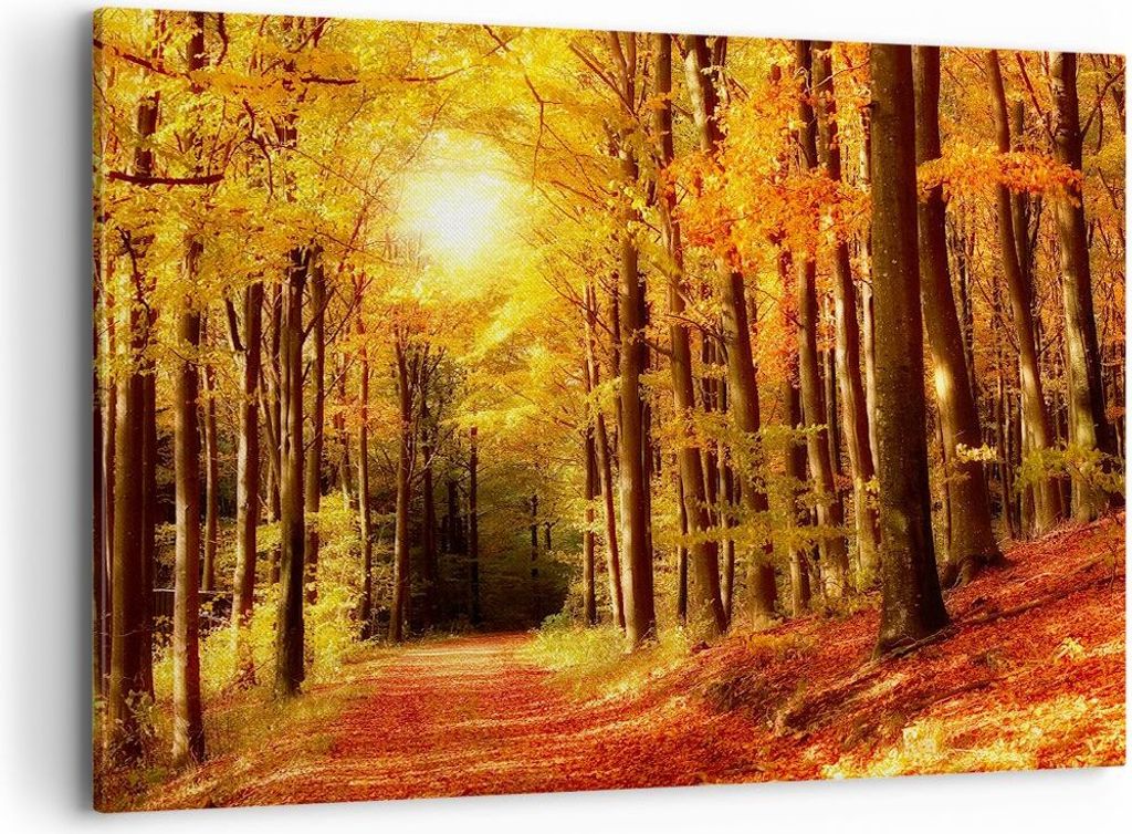 Bild auf Leinwand - Leinwandbild - Pfad Blätter Wald - 100x70cm - Wand Bild - Wanddeko - Wandbilder - Leinwanddruck - Bilder - Kunstdruck - Wandde...