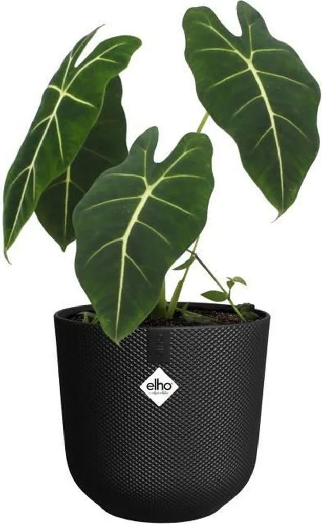 elho jazz rund 26cm pot noir léger et incassable pour plantes vertes