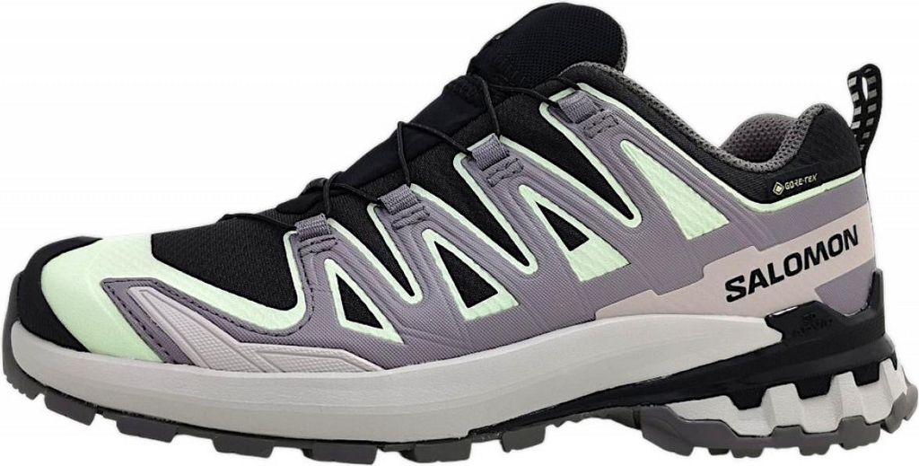 Salomon XA Pro 3D V9 GTX W Damen Wanderschuh in Grau, Größe 8.5