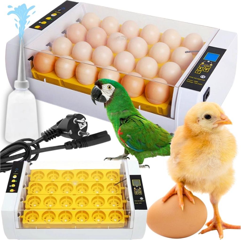 A collage of an incubator with eggs, a parrot, a chick, and a water bottle with a power cord.