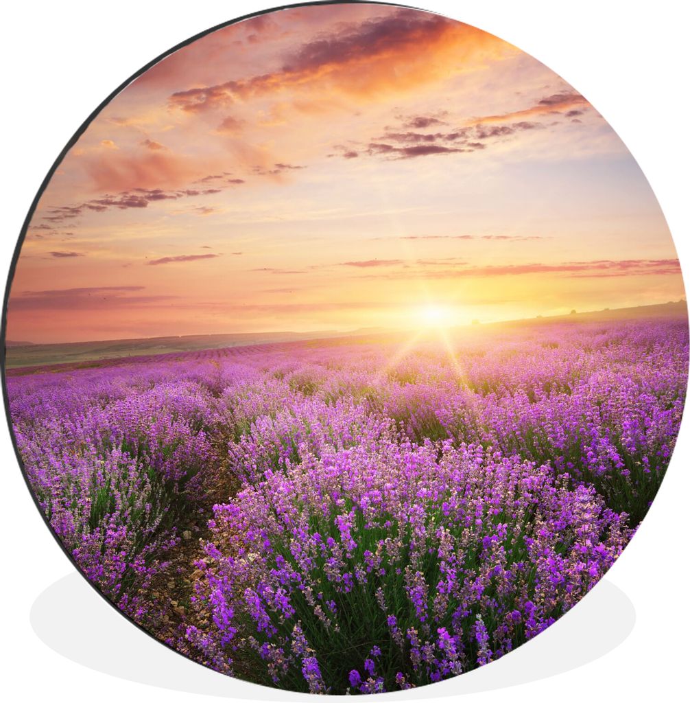 MuchoWow Aluminium Wandkreis Lavendel - Sonne - Blumen Ø 60 cm Wanddeko Modern Wohnzimmer - Wand Kreis - Wandbild - Schlafzimmer - Aluminium Bil...