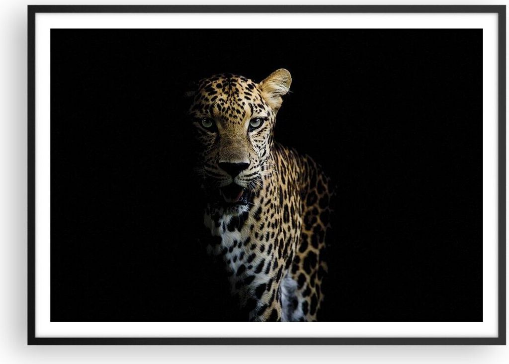 Gerahmtes Poster - Schwarzer Rahmen - Schattig Leopard Panther - 100x70 cm - Wand Bild - Wanddeko - Wandbilder - Kunstposter - Wandposter - Bilderr...