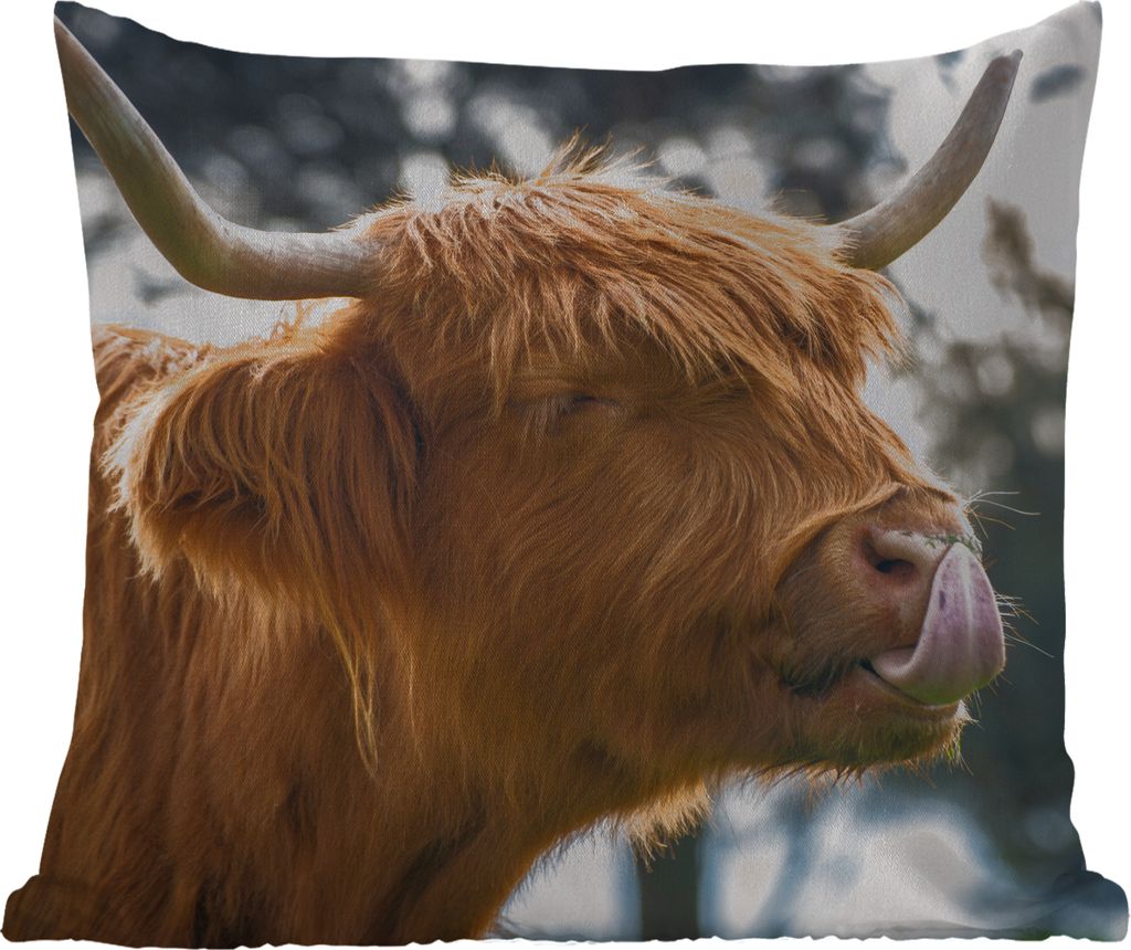 MuchoWow Outdoor Kissen - Schottisches Hochlandrind - Kuh - Frühling - Tiere - 50x50 cm - Wetterfest - Lounge Kissen - Komfortabel - Kissen mit ...