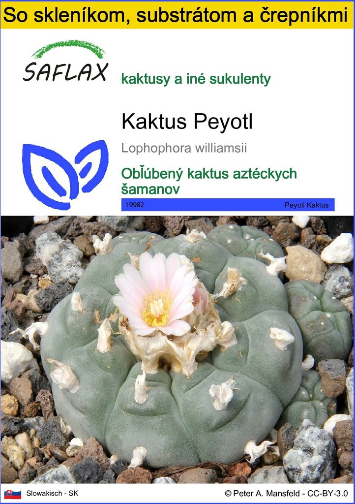 SAFLAX Kultivačný set - Kaktus Peyotl - Lophophora Obrázok produktu