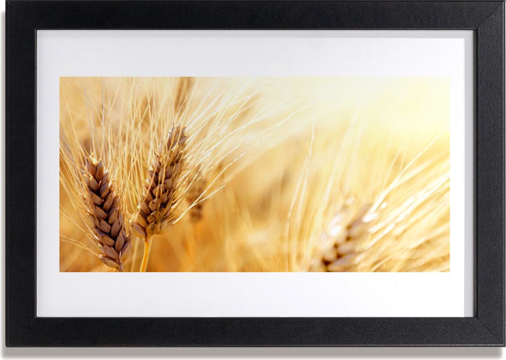 Bild 30x20 MDF-Rahmen Wandkunst Weizenpflanze Natur