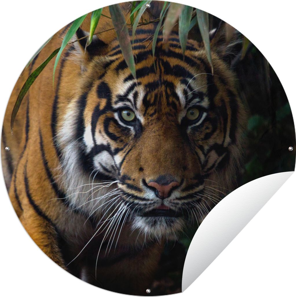 MuchoWow Gartenposter Outdoor-Poster Rund Tiger - Blätter - Dschungel - Tiere - Wild Ø 90 cm Gartendeko Rundes Poster draußen
