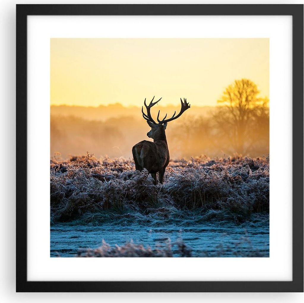 Gerahmtes Poster - Schwarzer Rahmen - Feld Nebel Natur Baum - 40x40 cm - Wand Bild - Wanddeko - Wandbilder - Kunstposter - Wandposter - Bilderrahme...