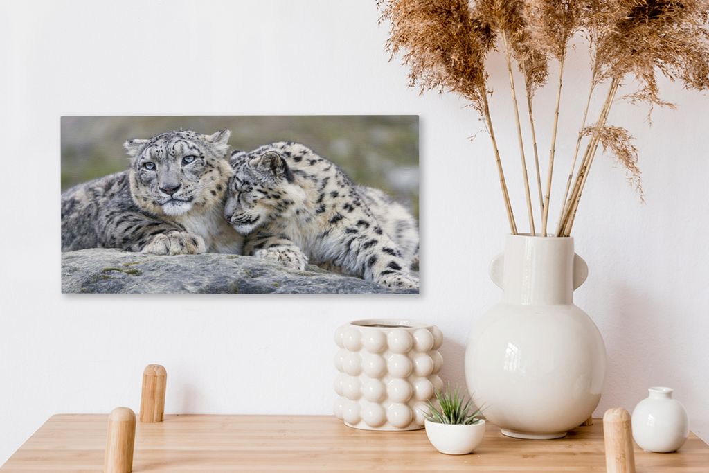 MuchoWow - Leinwandbilder - Schneeleopard - Steine - Porträt, Wandbild, Wanddeko Bilder Wohnzimmer, 40x20 cm