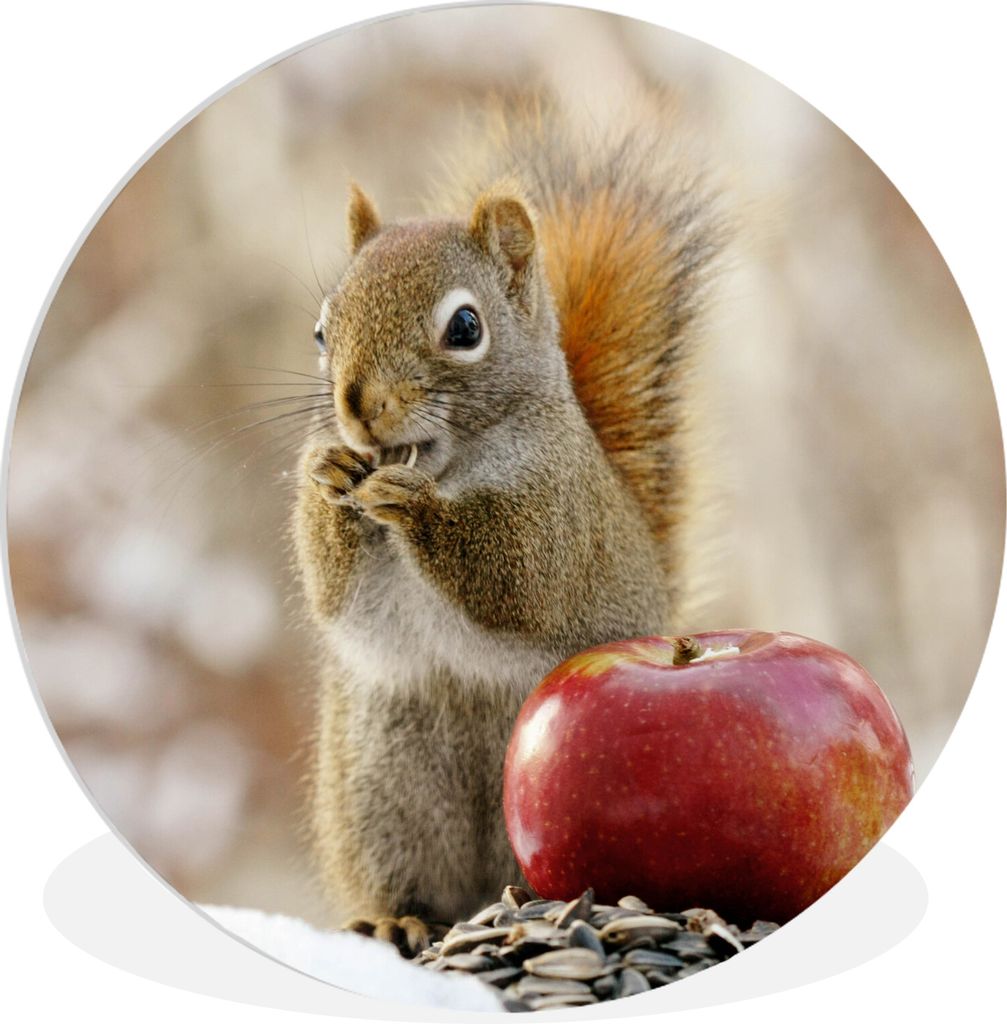 MuchoWow - Schlafzimmer - Bilder - Der Kreis - Kunst für die Wohnung - Plastik - Kunstdruck - Wandbild