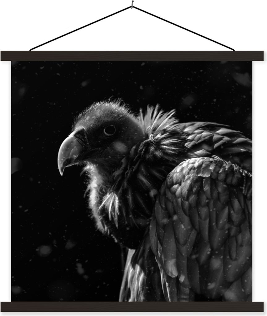 MuchoWow Textilposter Porträt eines Goldgeiers vor schwarzem Hintergrund - schwarz-weiß 90x90 cm mit schwarzem Rahmen - Magnetisches