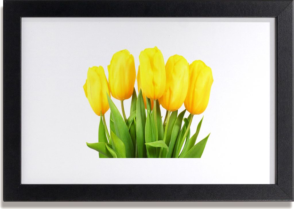 Bild 30x20 MDF-Rahmen Wandkunst Tulpen Blumen Pflanze