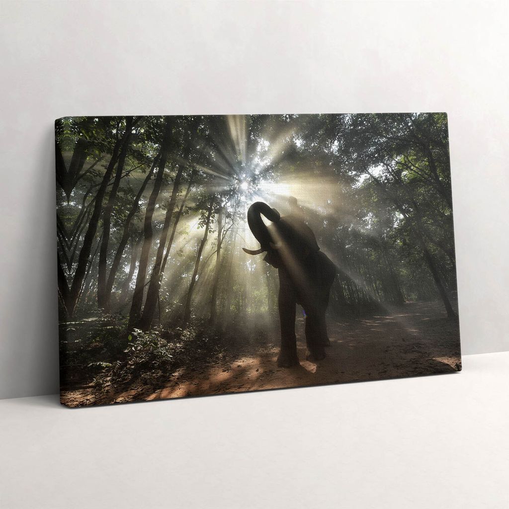 Elefant im Dschungel – Leinwandbild Wandbild – 60x40 cm – Leinwandbilder – Wandbilder – Schlafzimmer – Flur