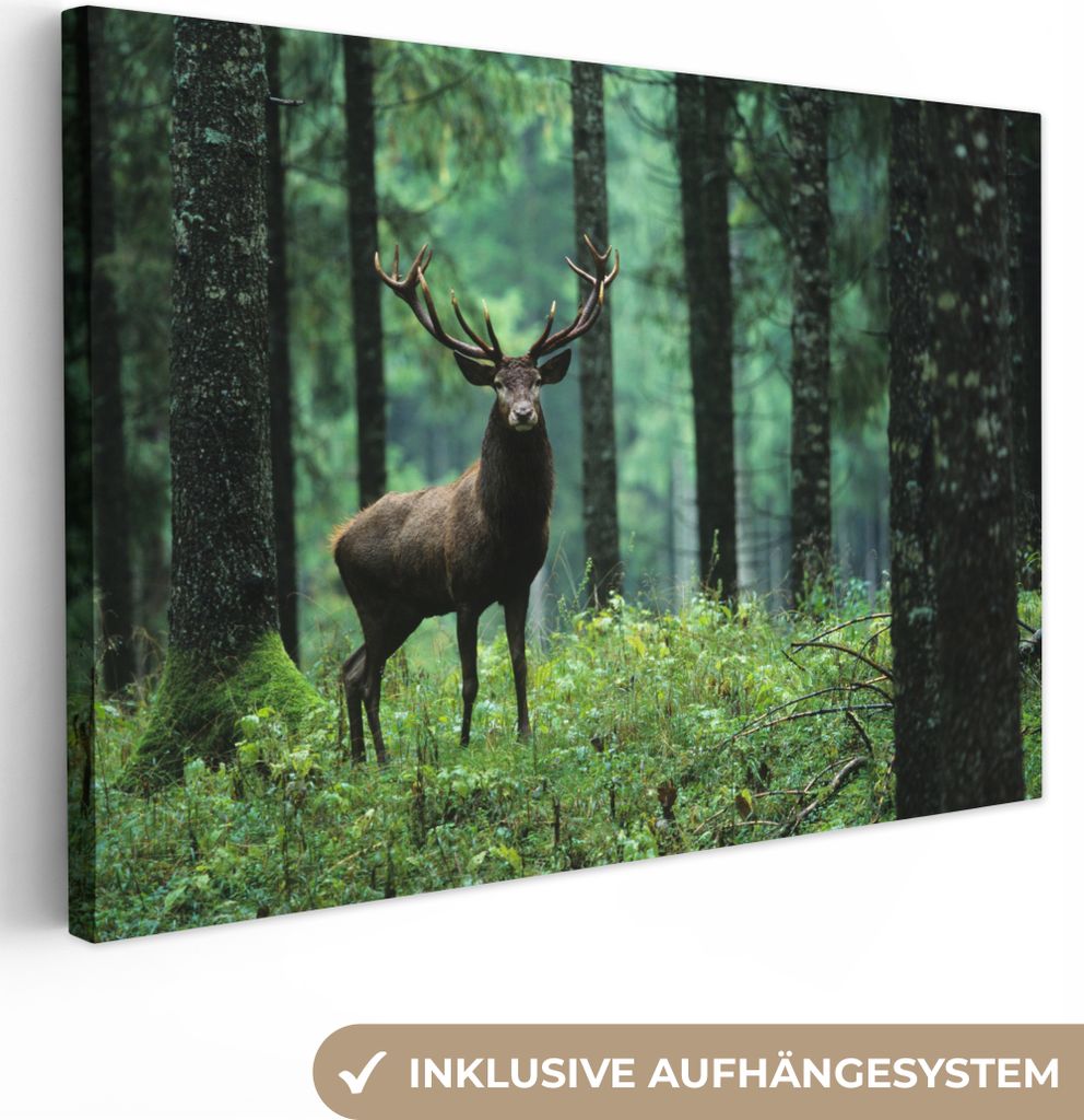 MuchoWow - Leinwandbilder - Hirsche - Wald - Bäume - Tiere - Natur, Wandbild, Wanddeko Bilder Wohnzimmer, 30x20 cm