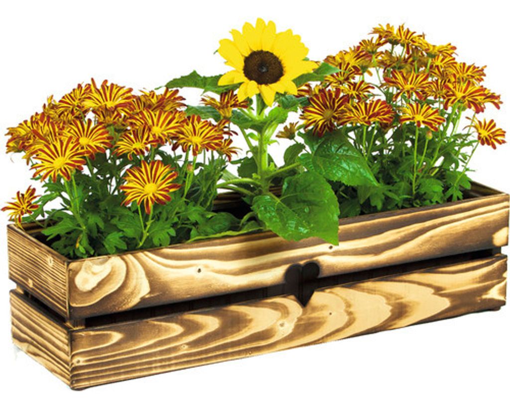 Truhlík dřevěný SRDCE 42 x 19 x 15 cm opalovaný Obrázek produktu 