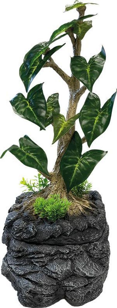 Repto Water Dripping Tree Produktbild 