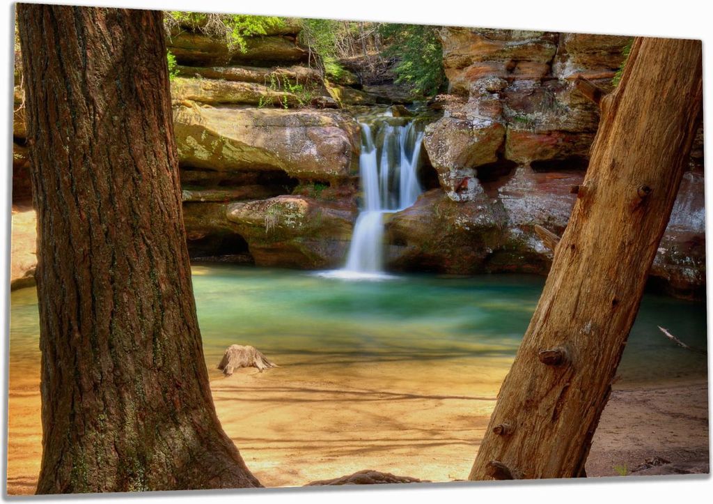 Wallario Herdabdeckplatte aus Glas, Größe 80 x 52 cm 1-teilig, Motiv Versteckter Platz im Wald