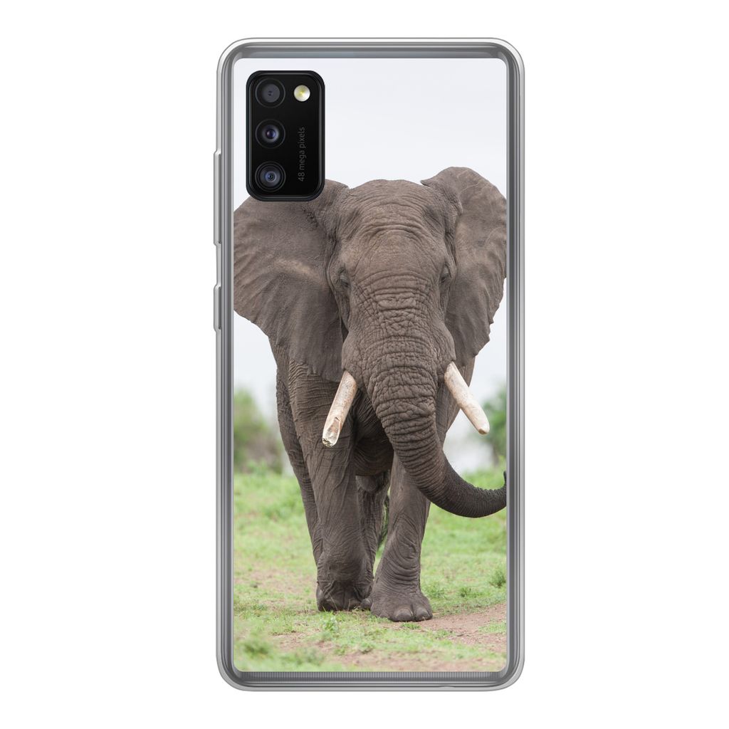 MuchoWow Handyhülle Schutzhülle Hülle für Samsung Galaxy A41 Elefant - Tiere - Gras - Natur Silikon Softcase Handy Hülle - Mobiltelefon