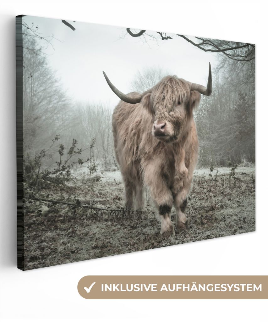 MuchoWow - Leinwandbilder - Schottische Highlander - Natur - Herbst - Tiere - Wildtiere - Wald, Wandbild, Wanddeko Bilder Wohnzimmer, 120x90 cm