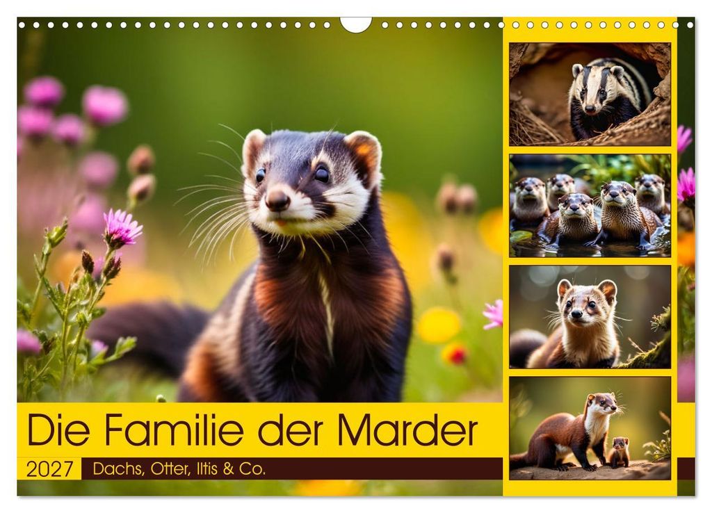 Die Familie der Marder (Wandkalender 2027 DIN A3 quer), CALVENDO Monatskalender