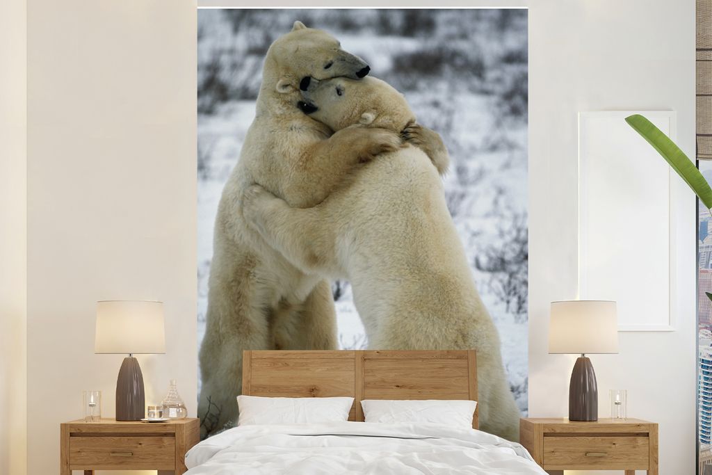 MuchoWow Fototapete für Wohnzimmer oder Schlafzimmer Wandtapete Vinyl Motivtapete Eisbären - Kämpfen - Mantel - 180x280 cm - Wallpaper