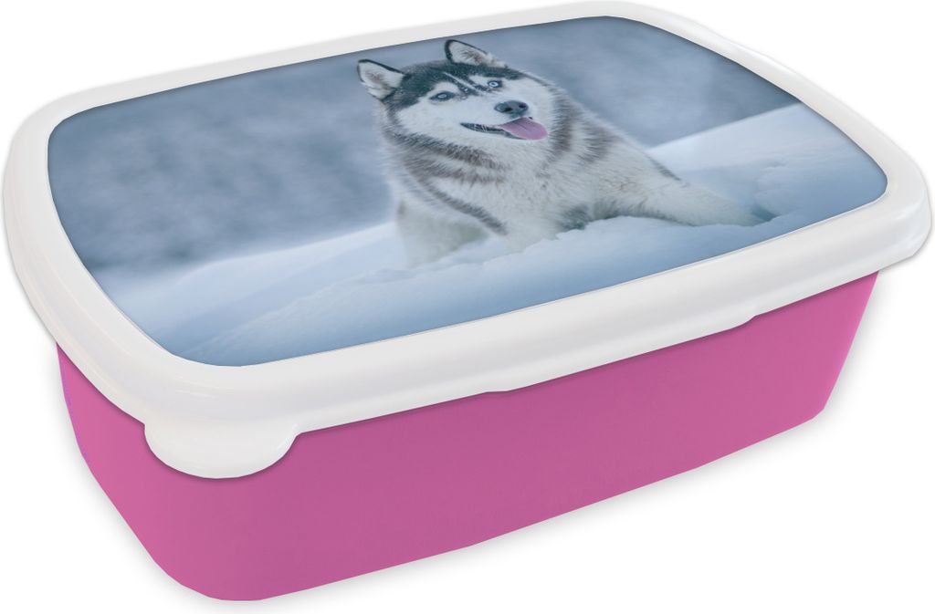 KitchenYeah Lunchbox Brotzeit Brotdose 17x11 cm Husky - Schnee - Natur Kinder Brotzeitdose - Lunchpaket - Brotkasten - Sandwich Box