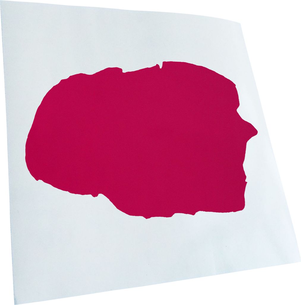 hauptsachebeklebt Kiwistar - Autoaufkleber - Föhr - Deutschland - Insel Heckscheibe - Aufkleber für Auto Kfz Fahrrad, LKW, Truck Mofa