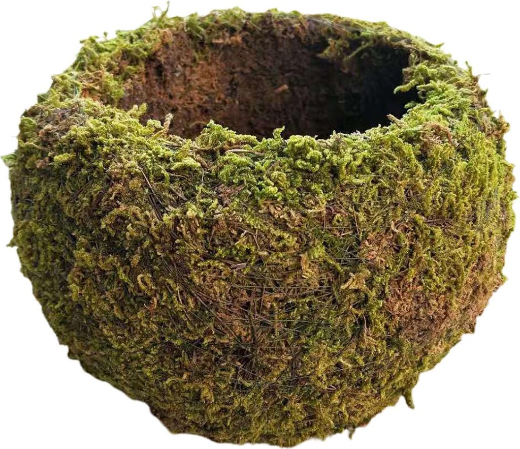 Japanischer Stil Moos Ball Gartenarbeit Topfpflanze Moos Blumentopf